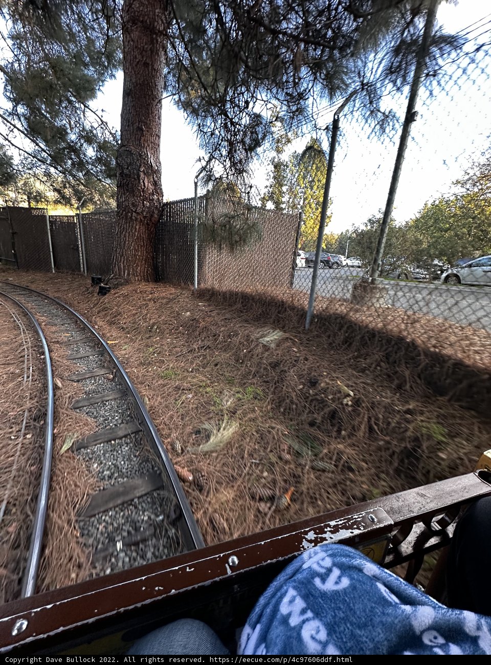 Train ride through nature