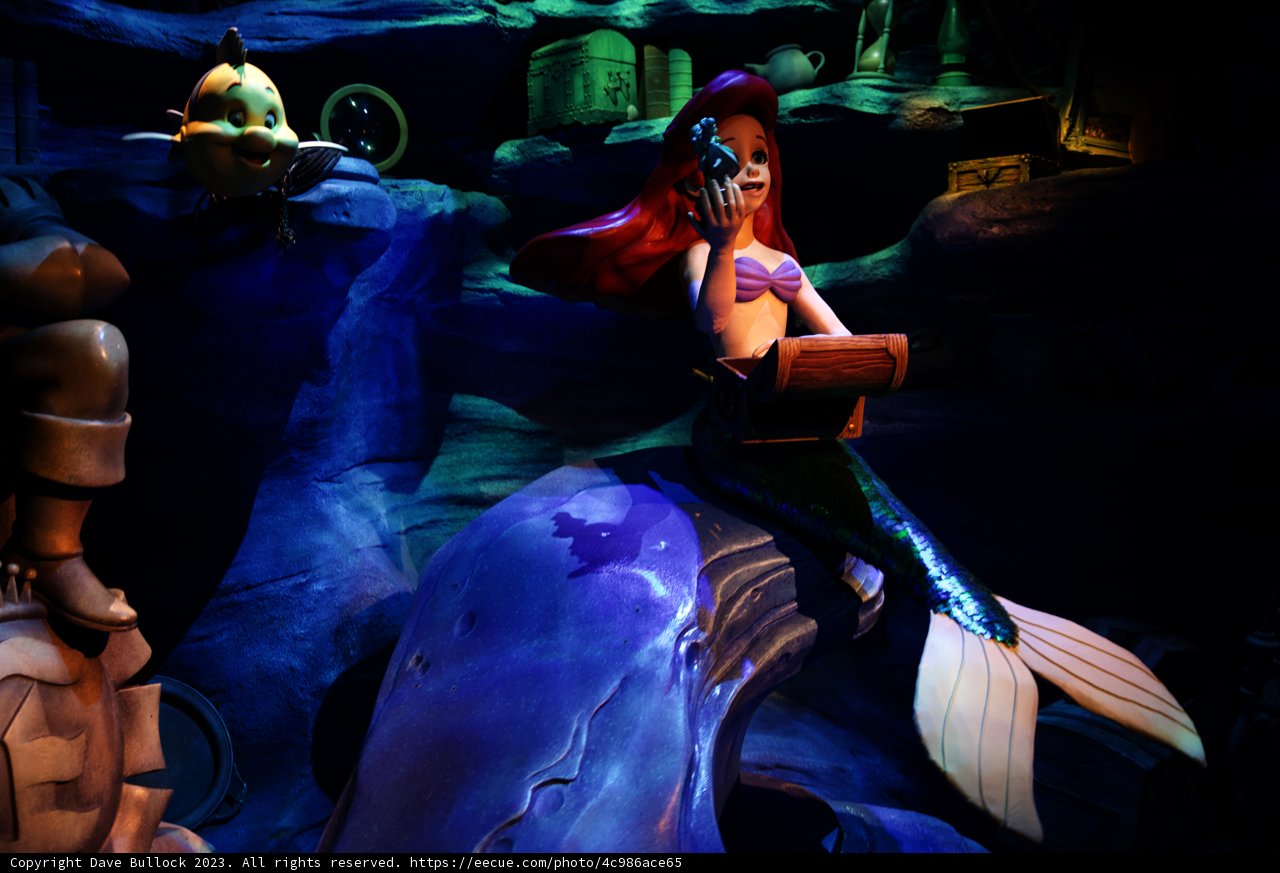 Magical Encounter with Ariel