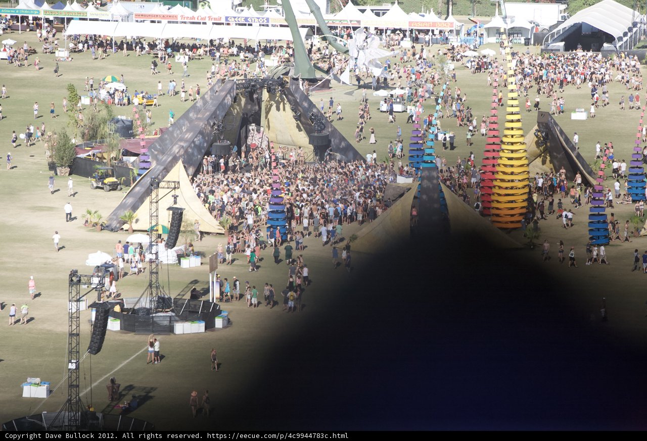 Festival Frenzy