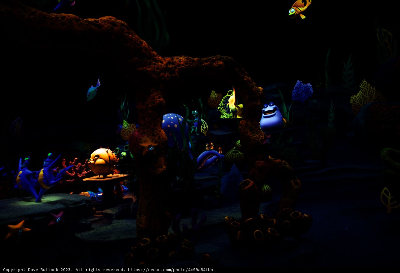 Magical Underwater Adventure at Disneyland