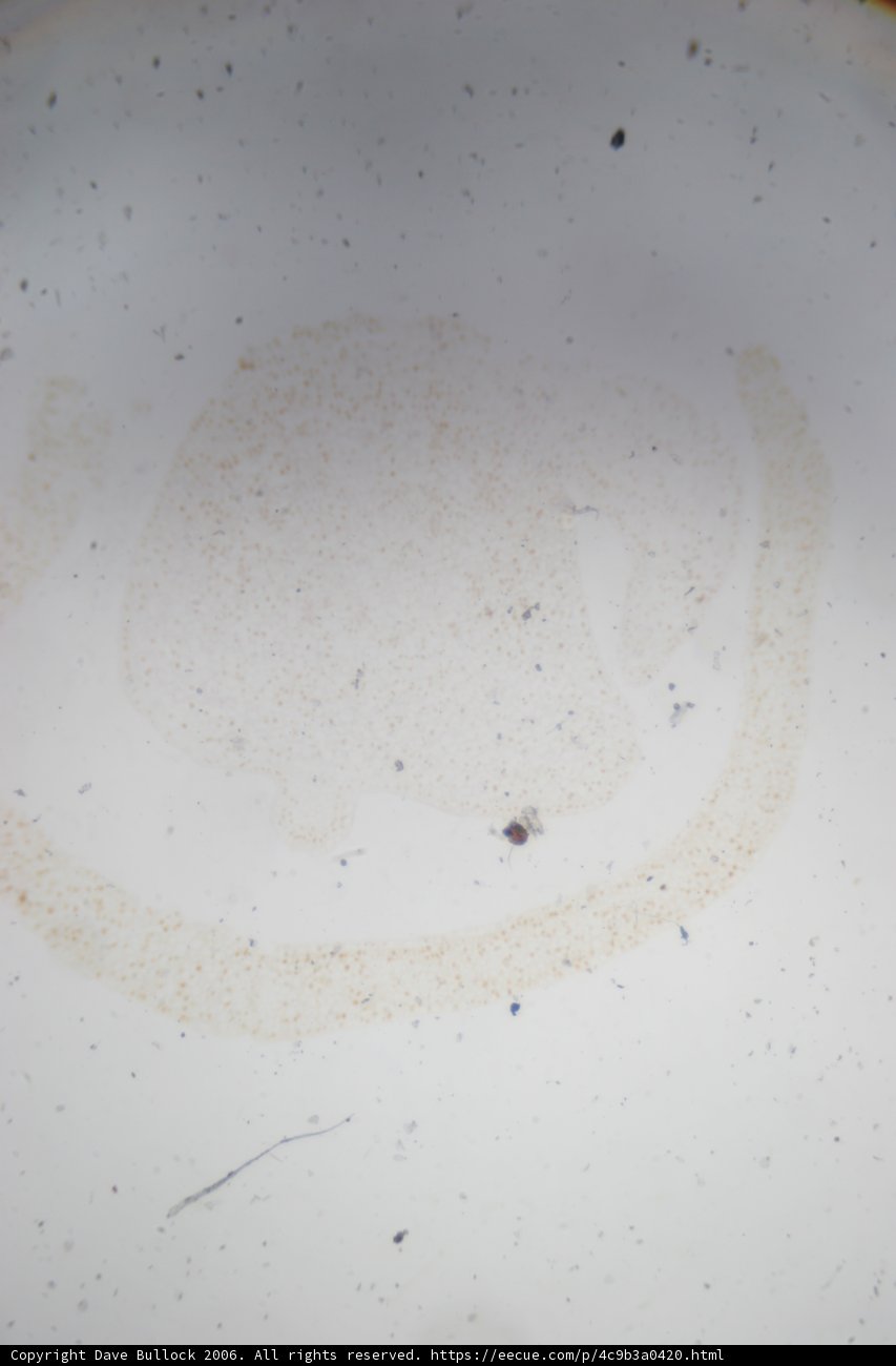 Cosmic Stain