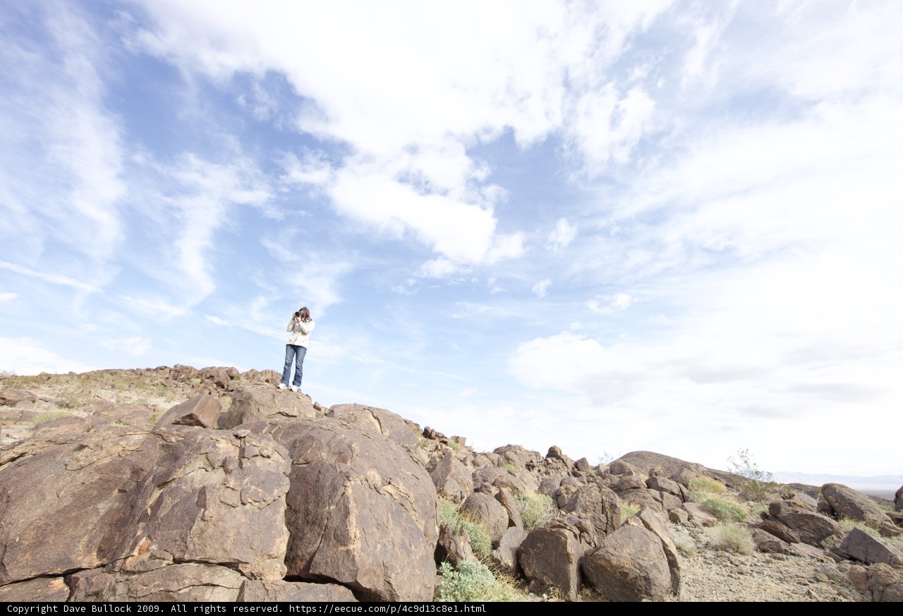 High Above Joshua Tree