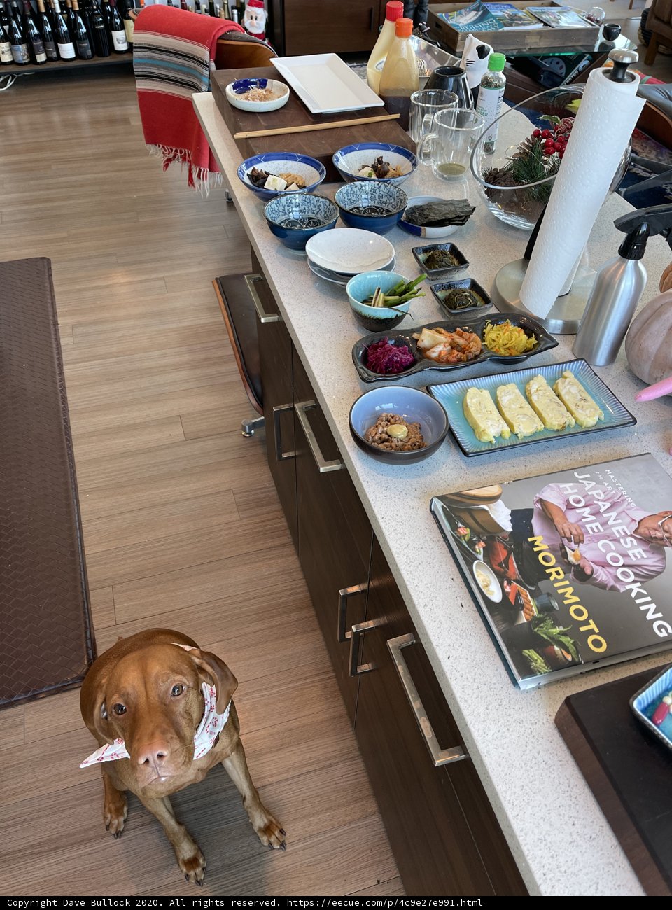 Man's Best Mealtime Companion