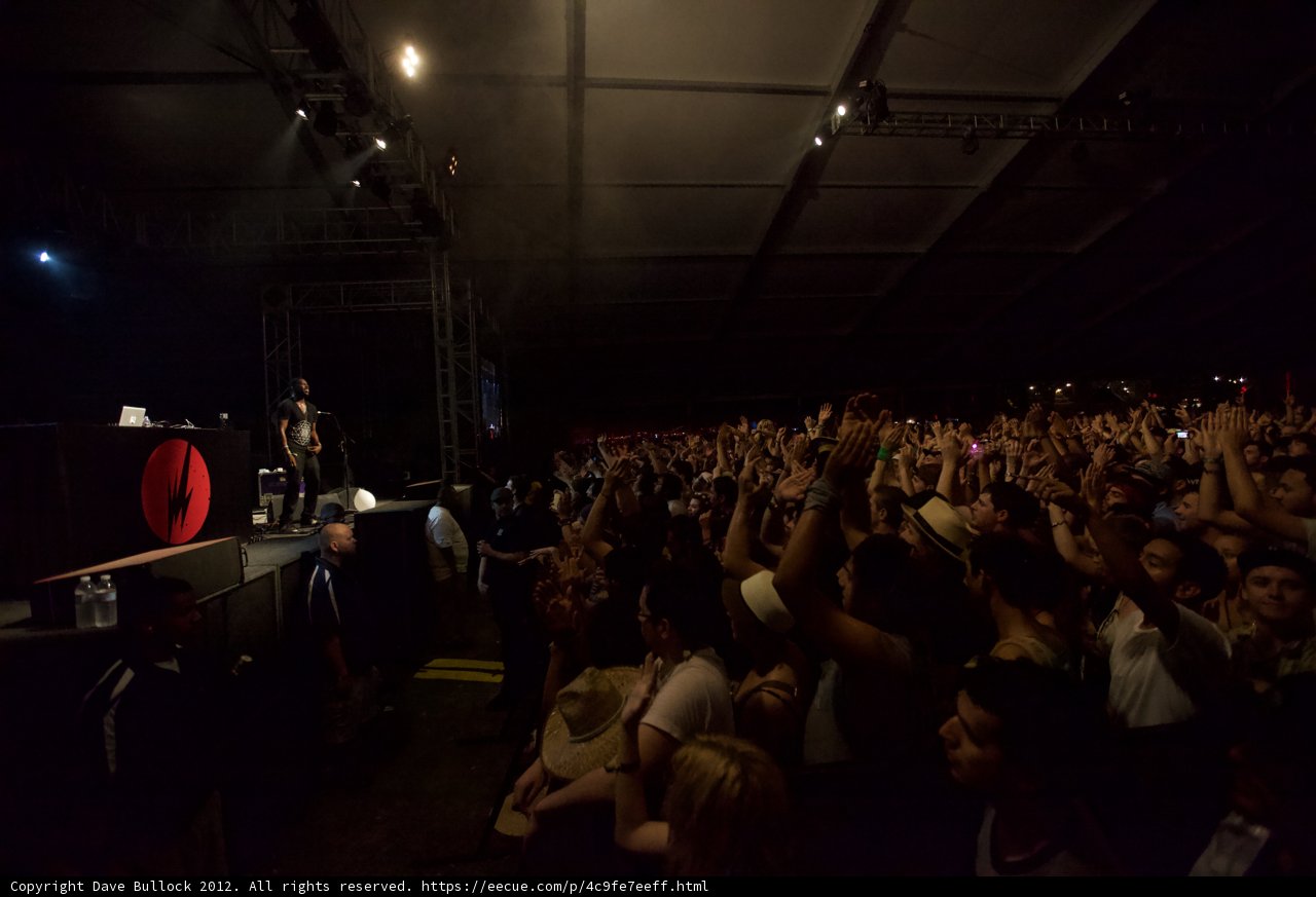 The Energetic Crowd at Flying Lotus' Coachella Performance