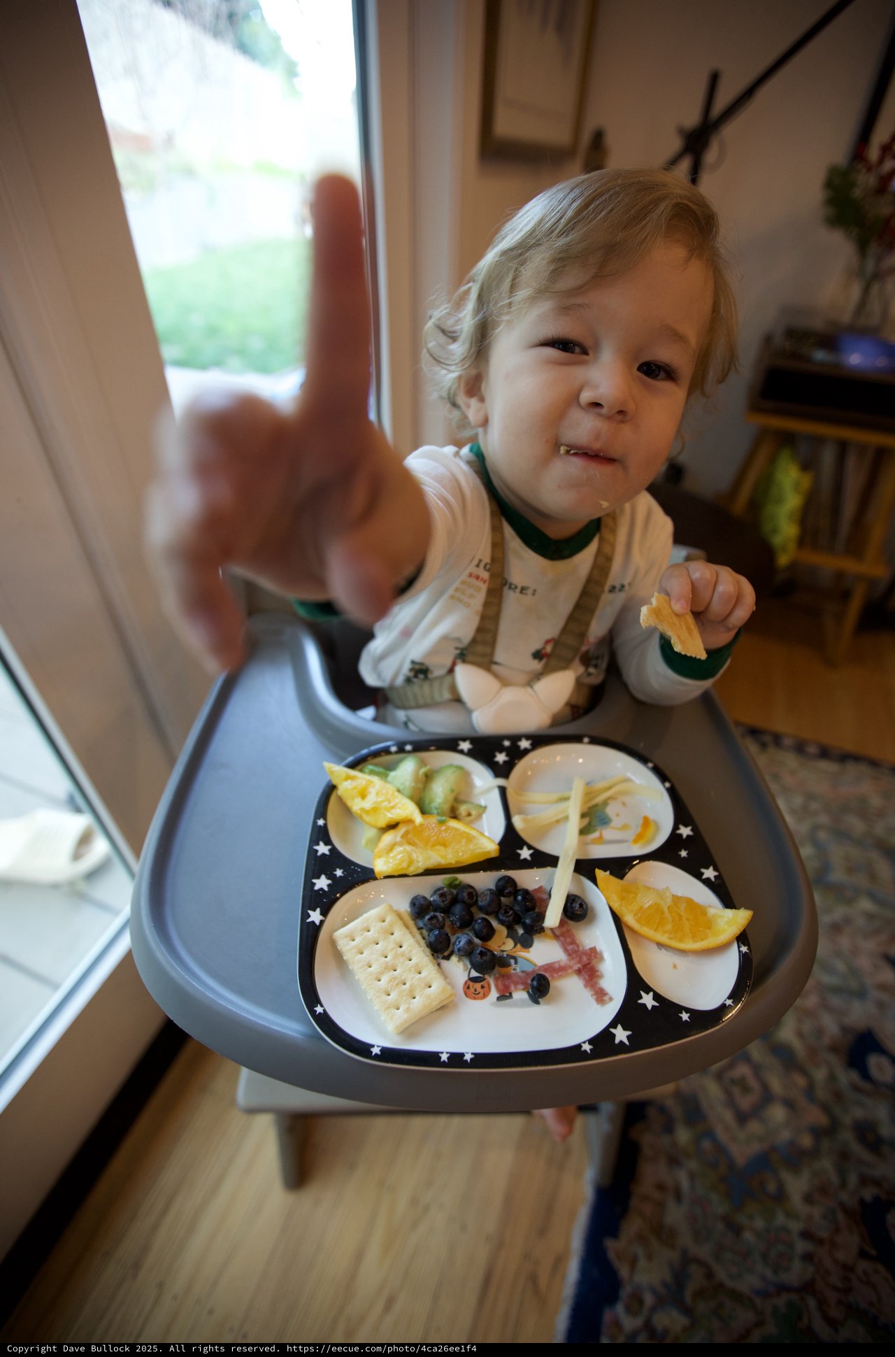 Toddler's Christmas Eve Mealtime with Divided Plate
