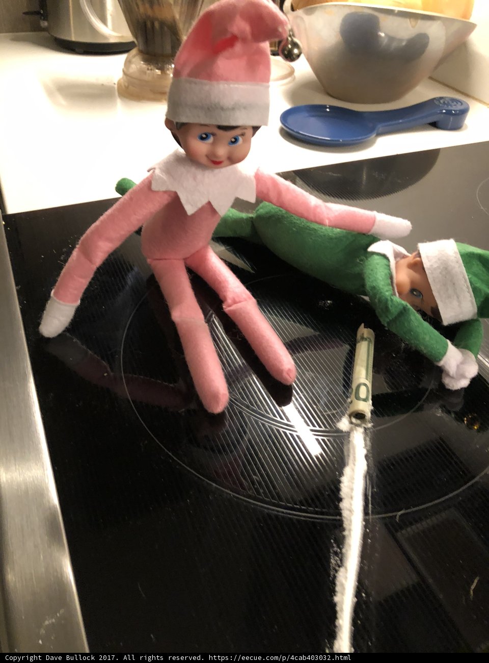 Two Elf Dolls Cooking Up a Storm