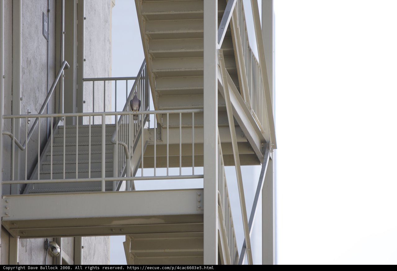 Ascending Architecture