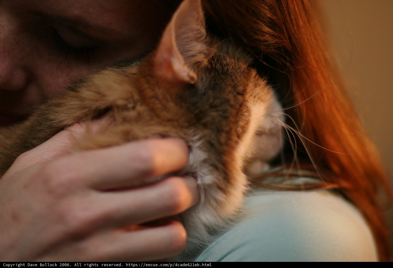Lovingly Holding Her Feline Companion