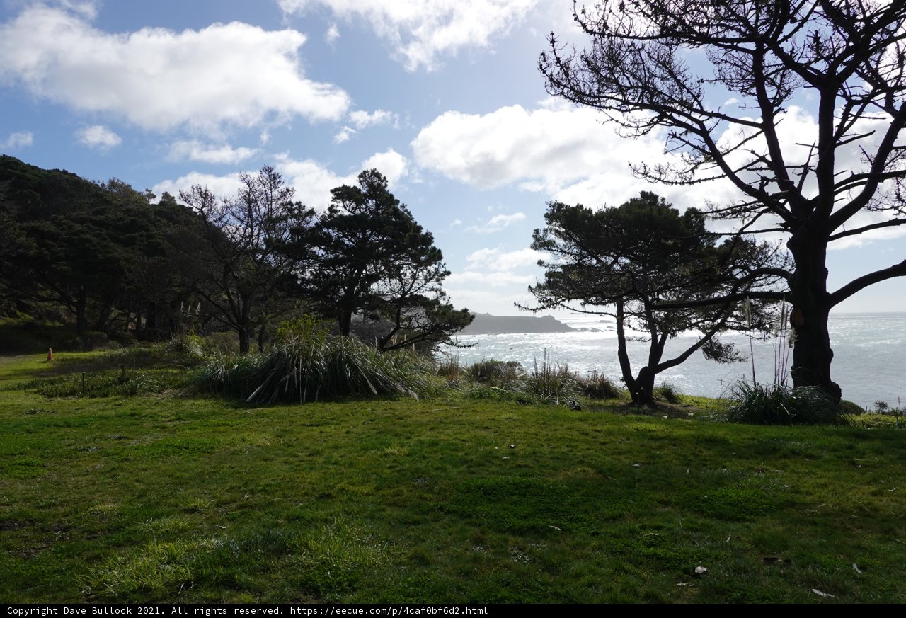 Serene Hillside by the Ocean