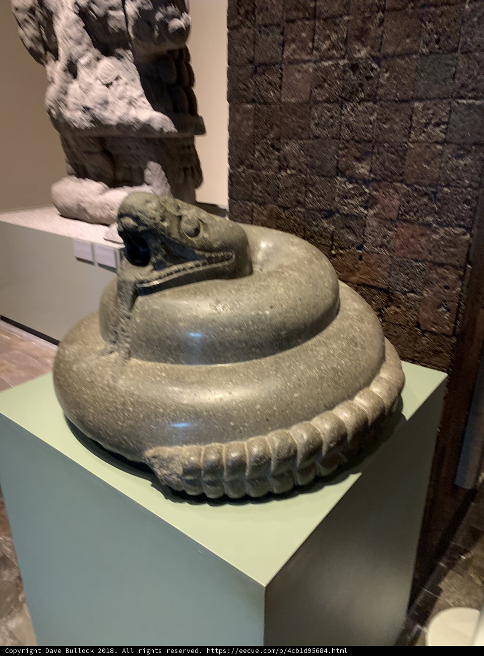 Serpentine Beauty