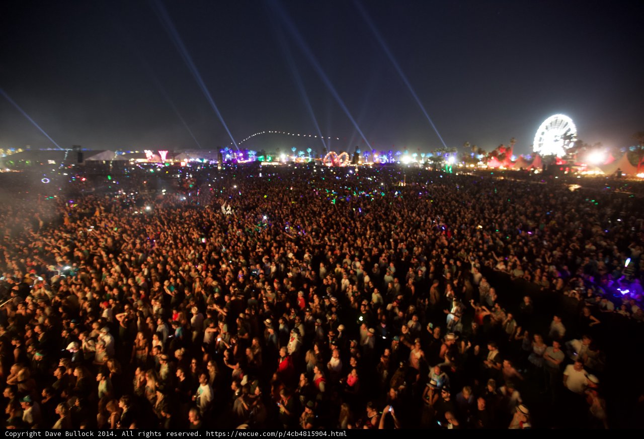 The Electric Crowd at Coachella