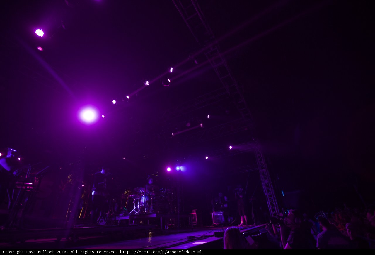 Enchanting Purple Lights