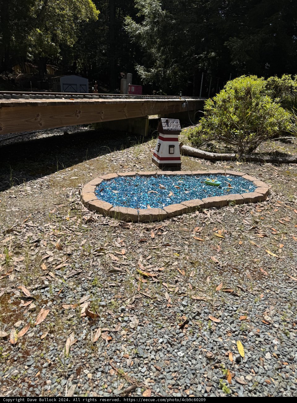 Miniature Oasis in Tilden
