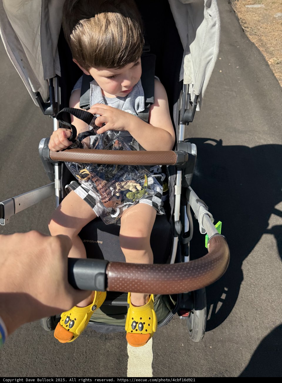 Stroll Through Walnut Creek