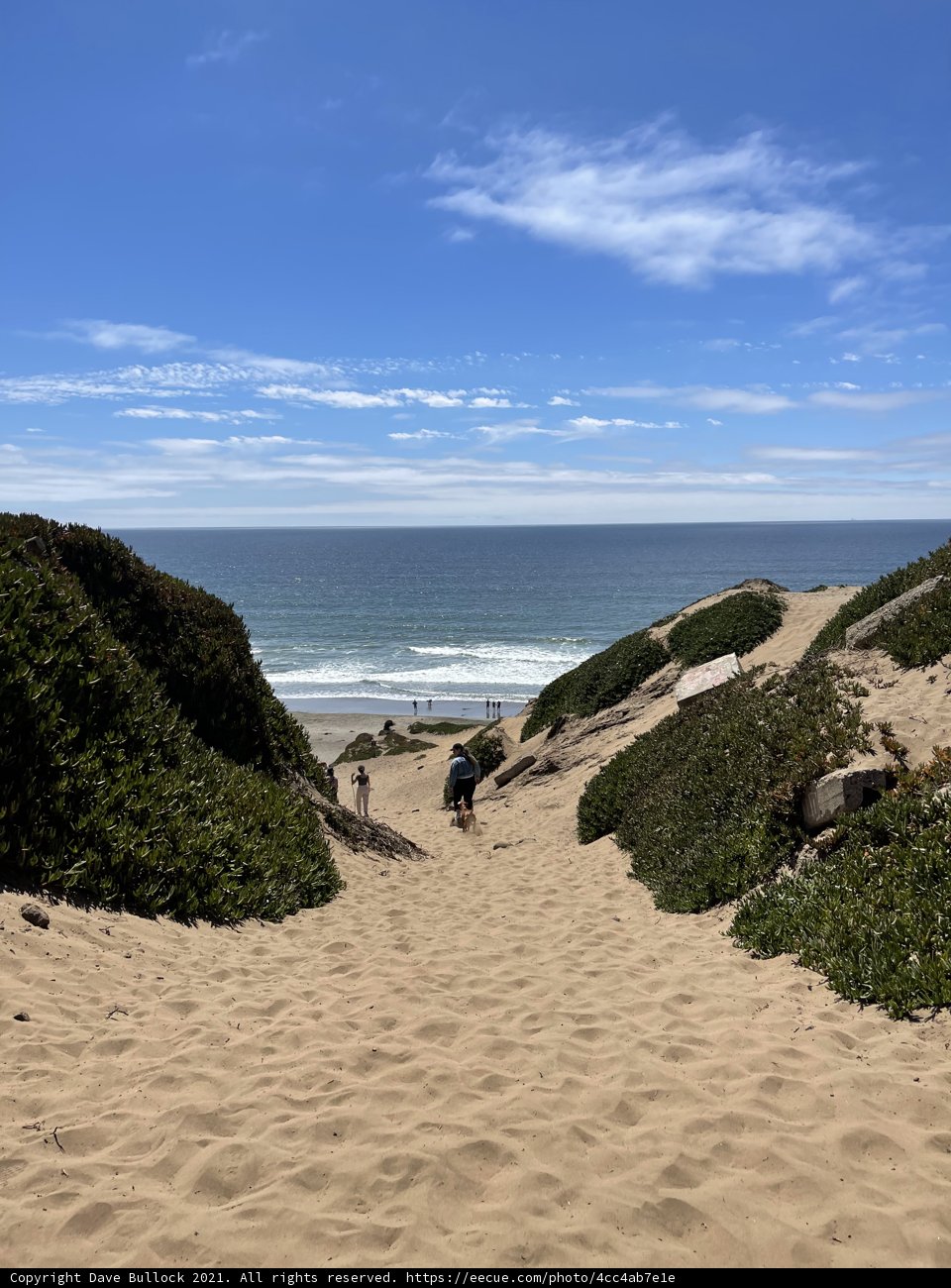 Spectacular View of the Beach from a Vantage Point
