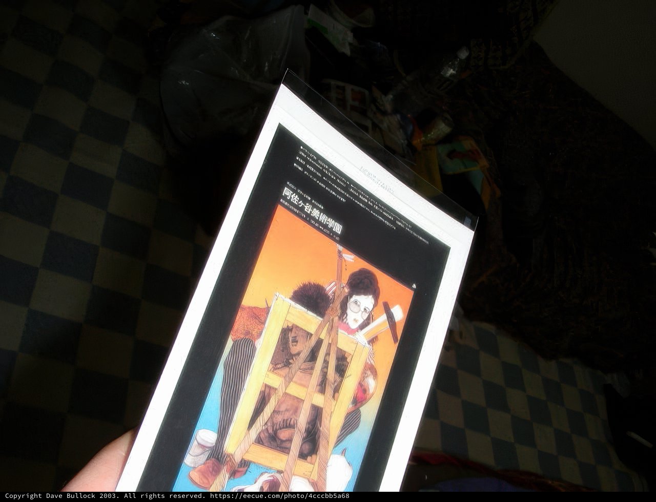 Book Featuring Marie Laurencin