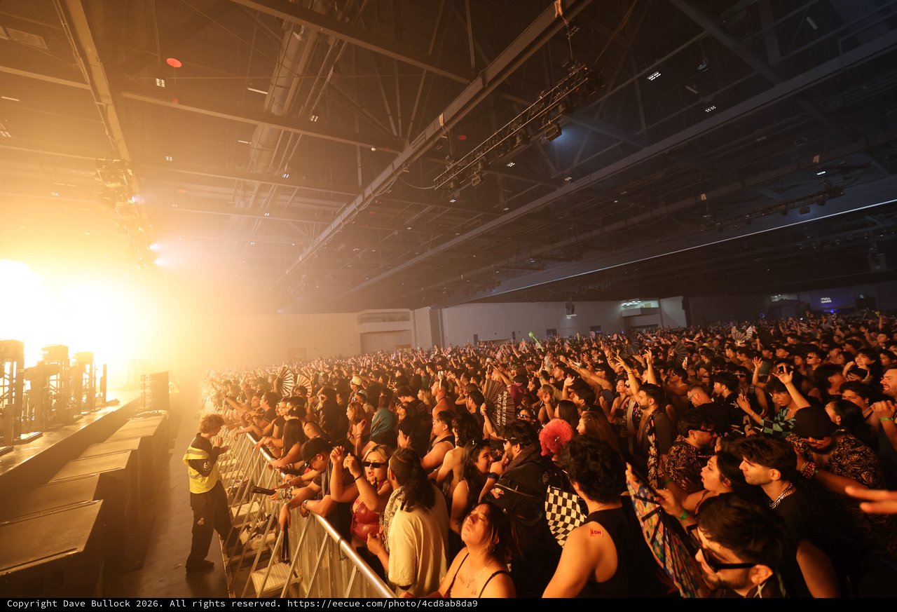 Massive Crowd Ignites at Wobbleland 2026 EDM Festival