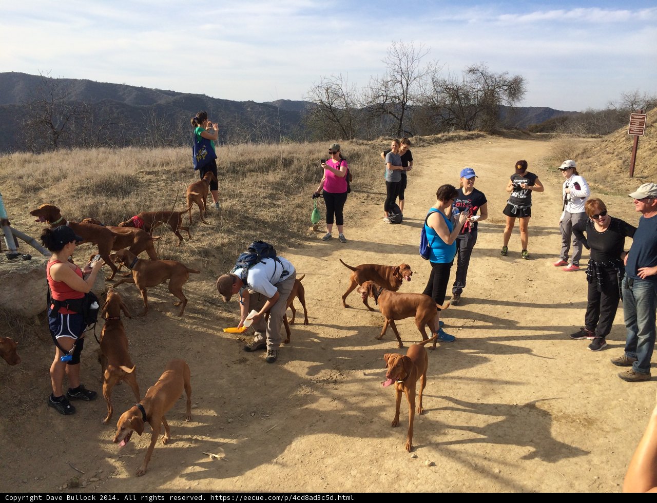 Group of People and Dogs in Santa Monica Mountains National Recreation Area