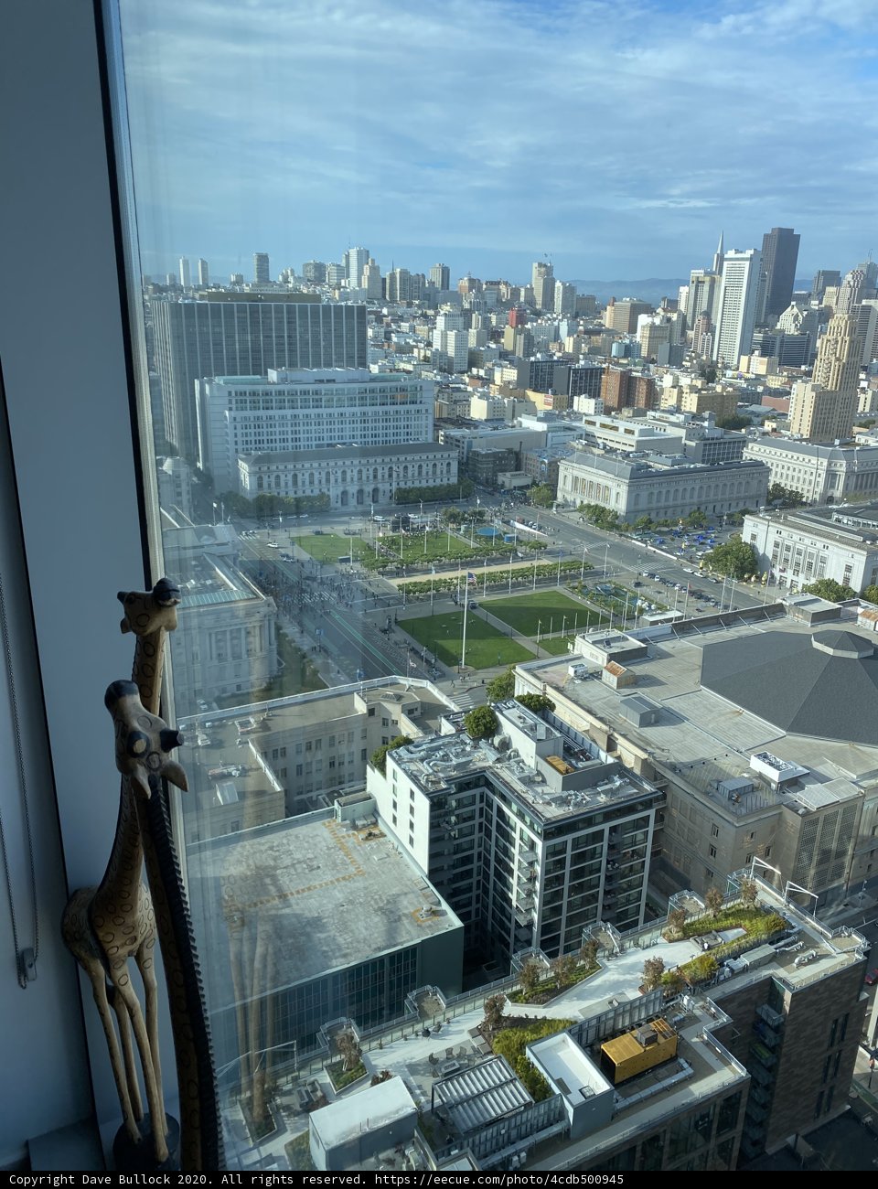 Giraffe in the Urban Jungle