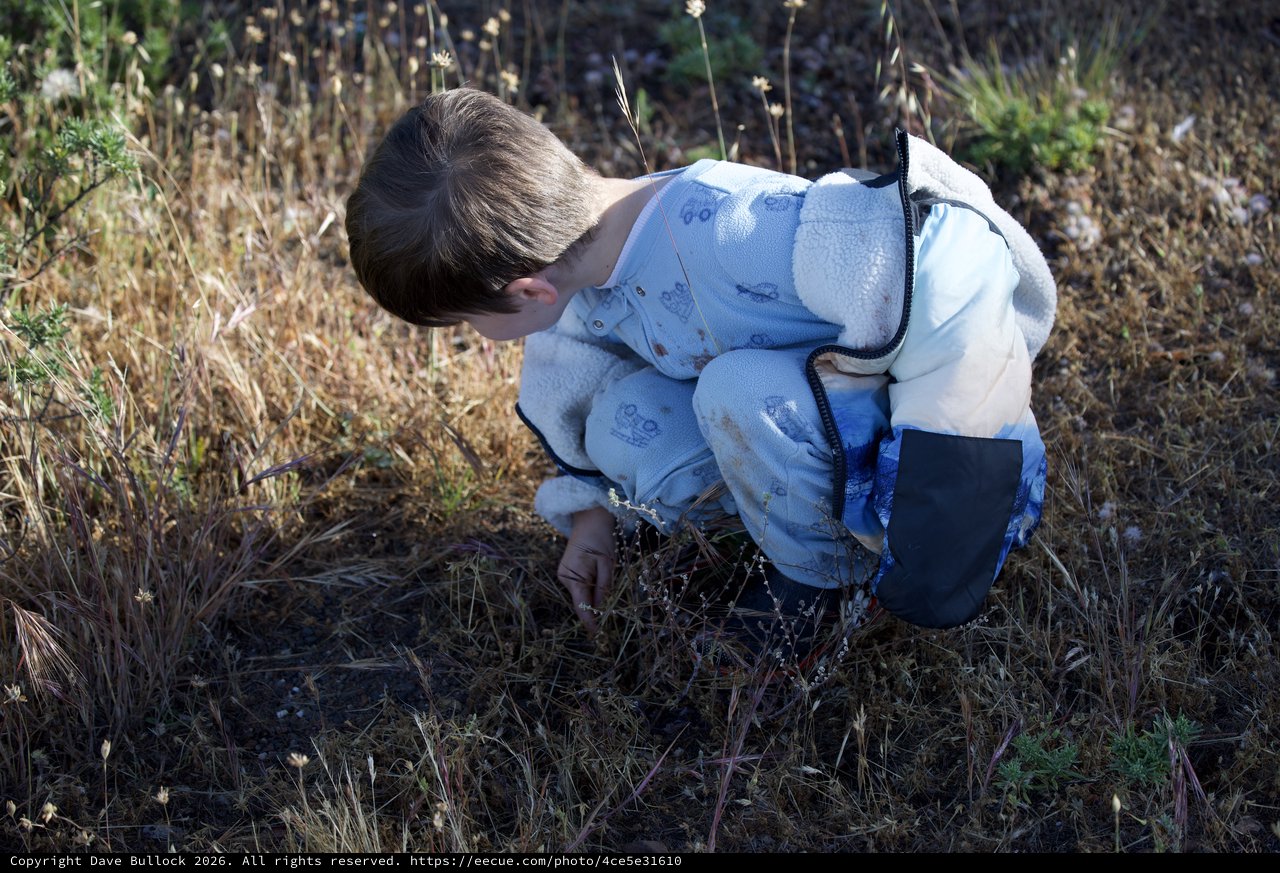 Young Explorer Discovers Nature at Mount Diablo