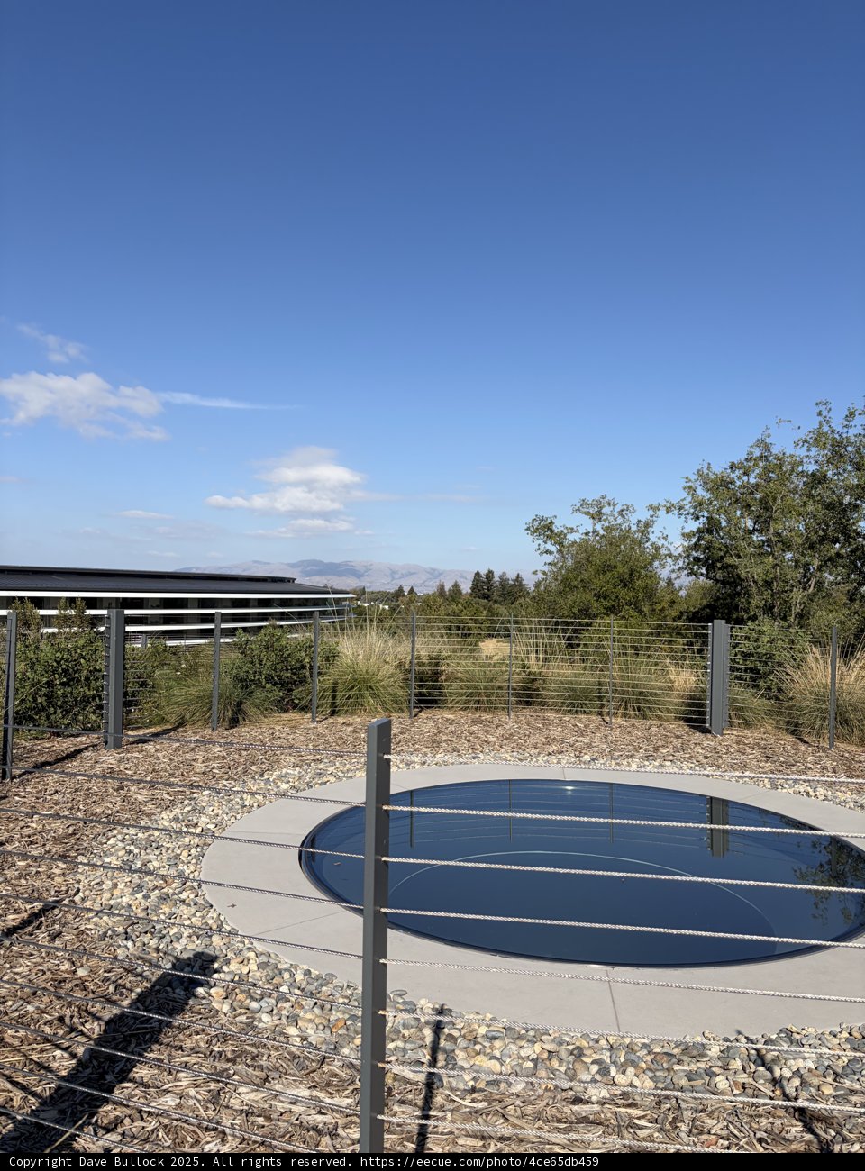 Serenity at Apple Park