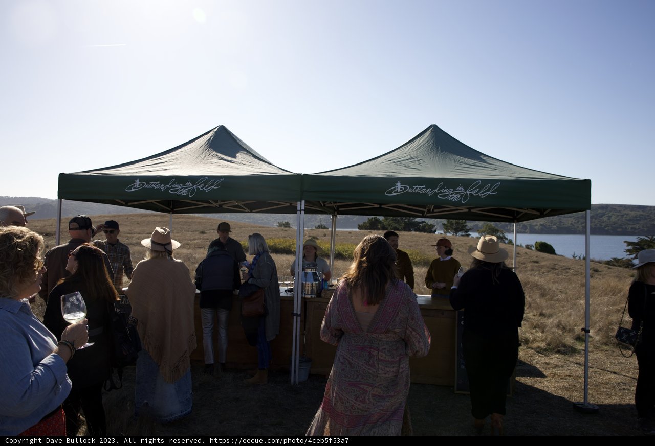 Enthralling Outdoor Gathering at Hog Island Oyster Co. 2023
