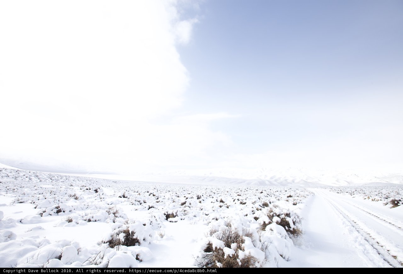 Winter Wonderland