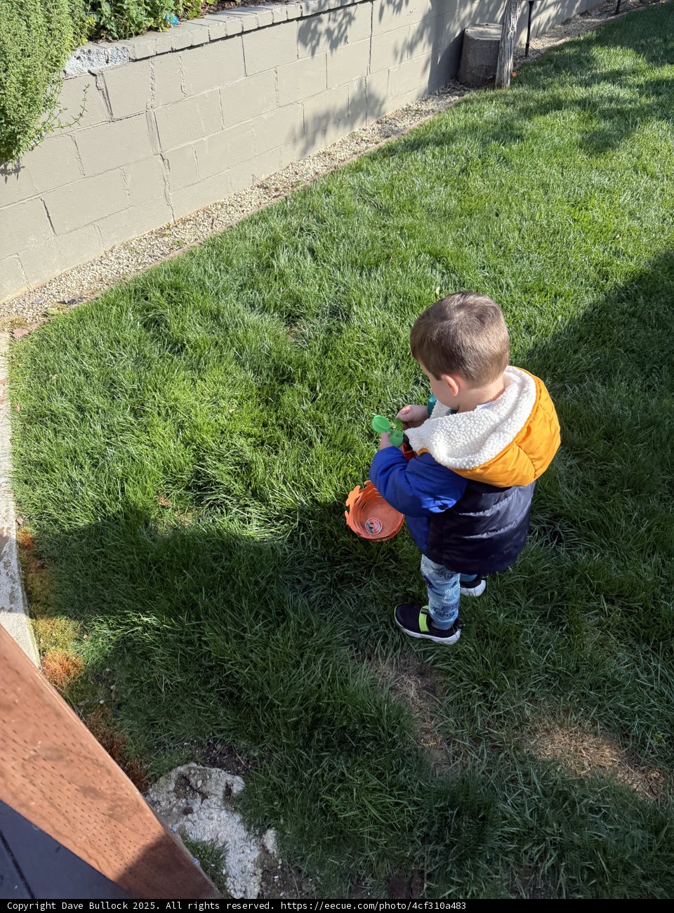 Springtime Curiosity