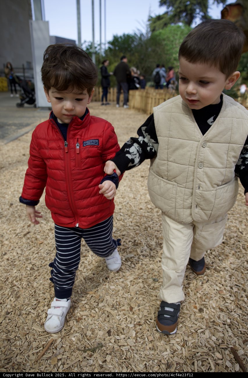 Little Adventurers at the Academy