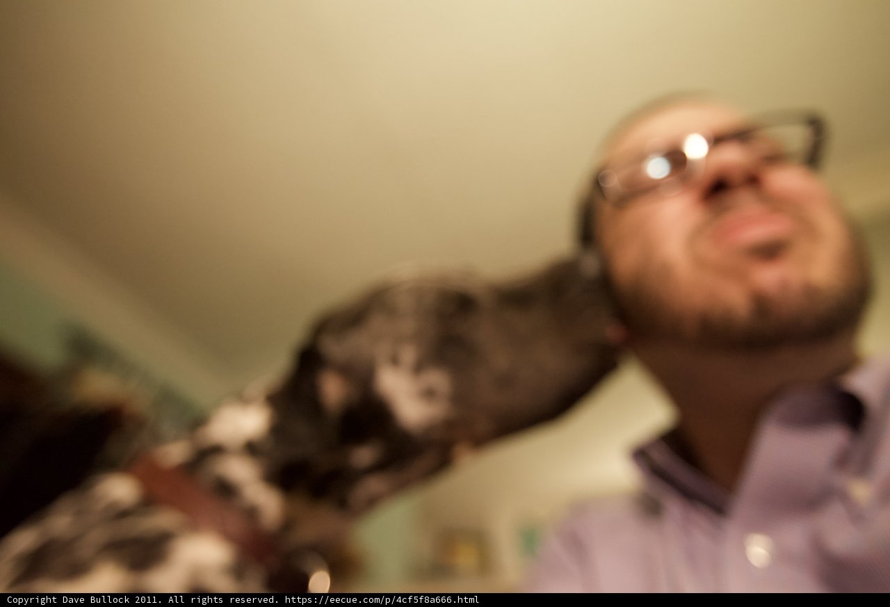 A Man's Best Friend