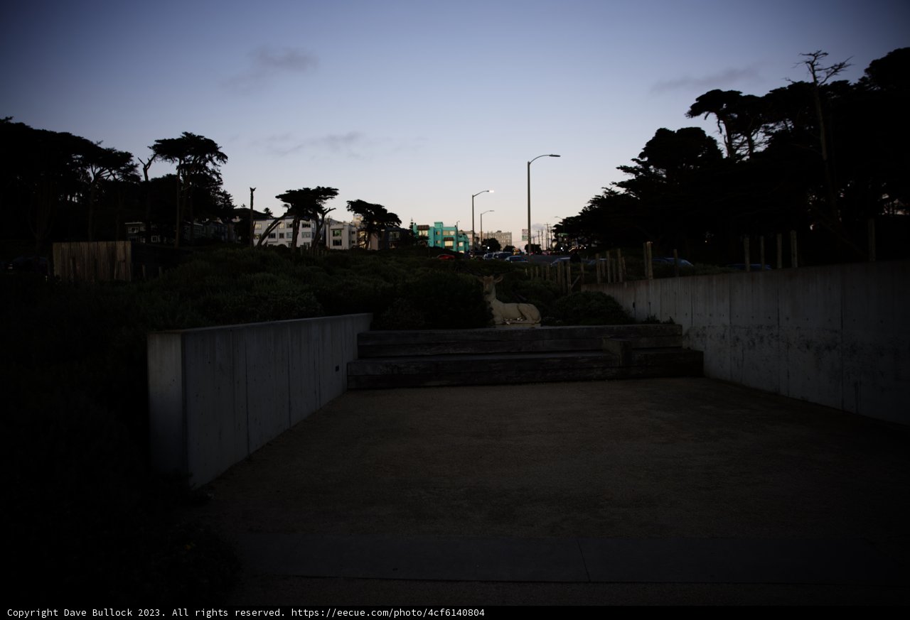 The Path to Sutro Baths Oasis