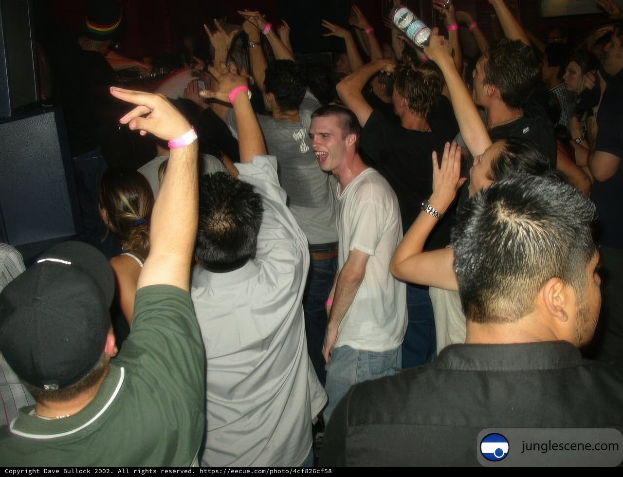 Nightlife Fun at Club Disco