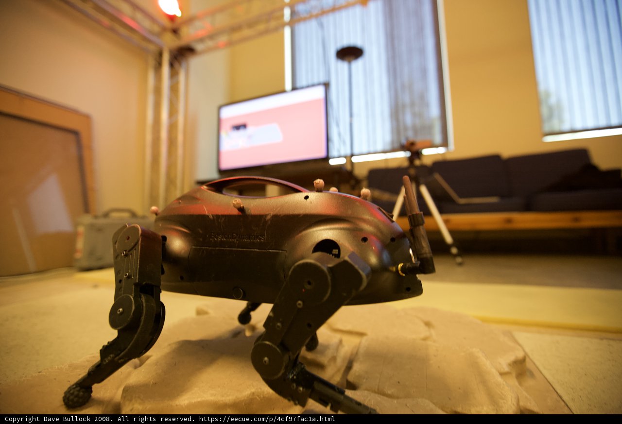 Robotic Pooch on Display