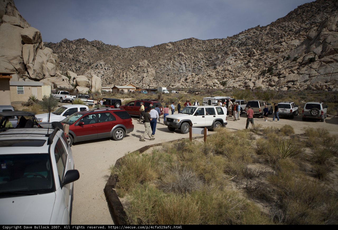 Desert Explorers in Their Vehicles
