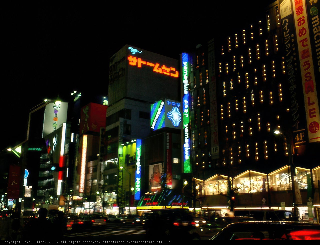 Neon Nights of Tokyo