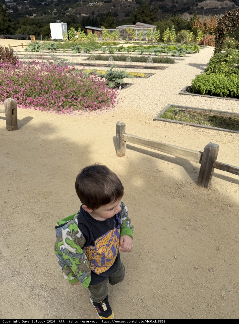 Exploring Nature's Pathways