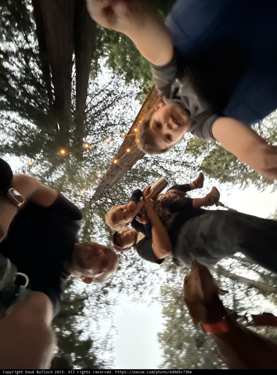 Gathered Amidst the Trees