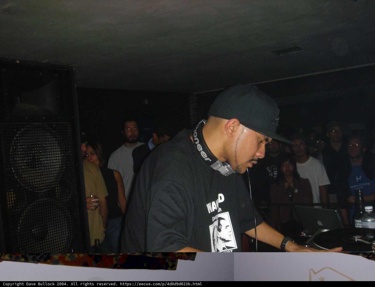 Deejay Entertaining the Night Club