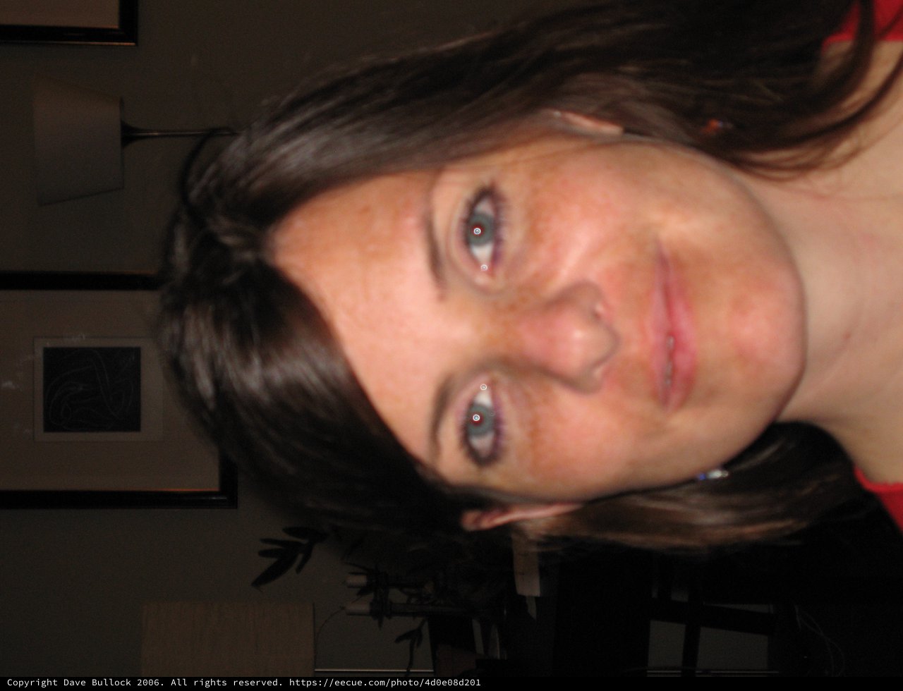 Casual Indoor Portrait of a Smiling Young Woman