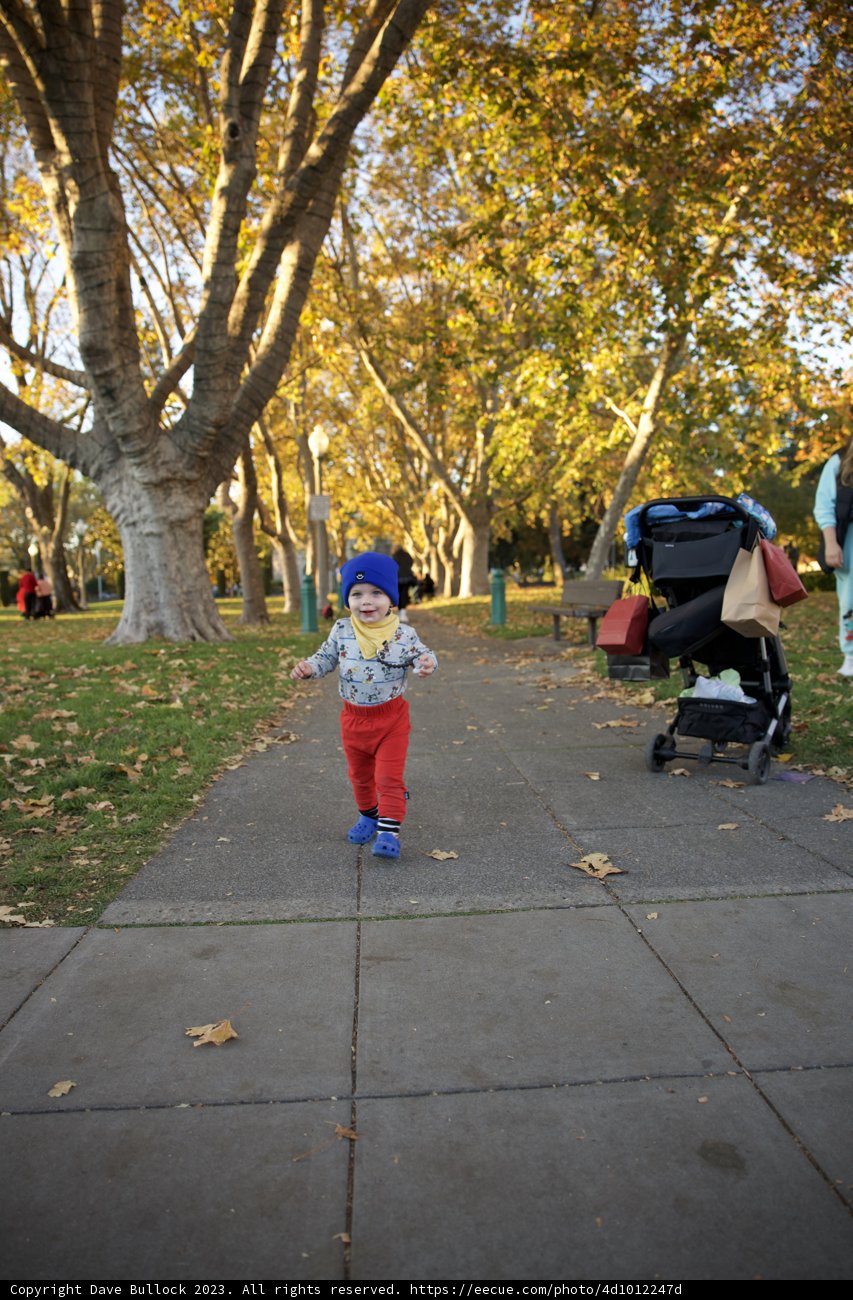 A Day on the Path: Wesley's Journey