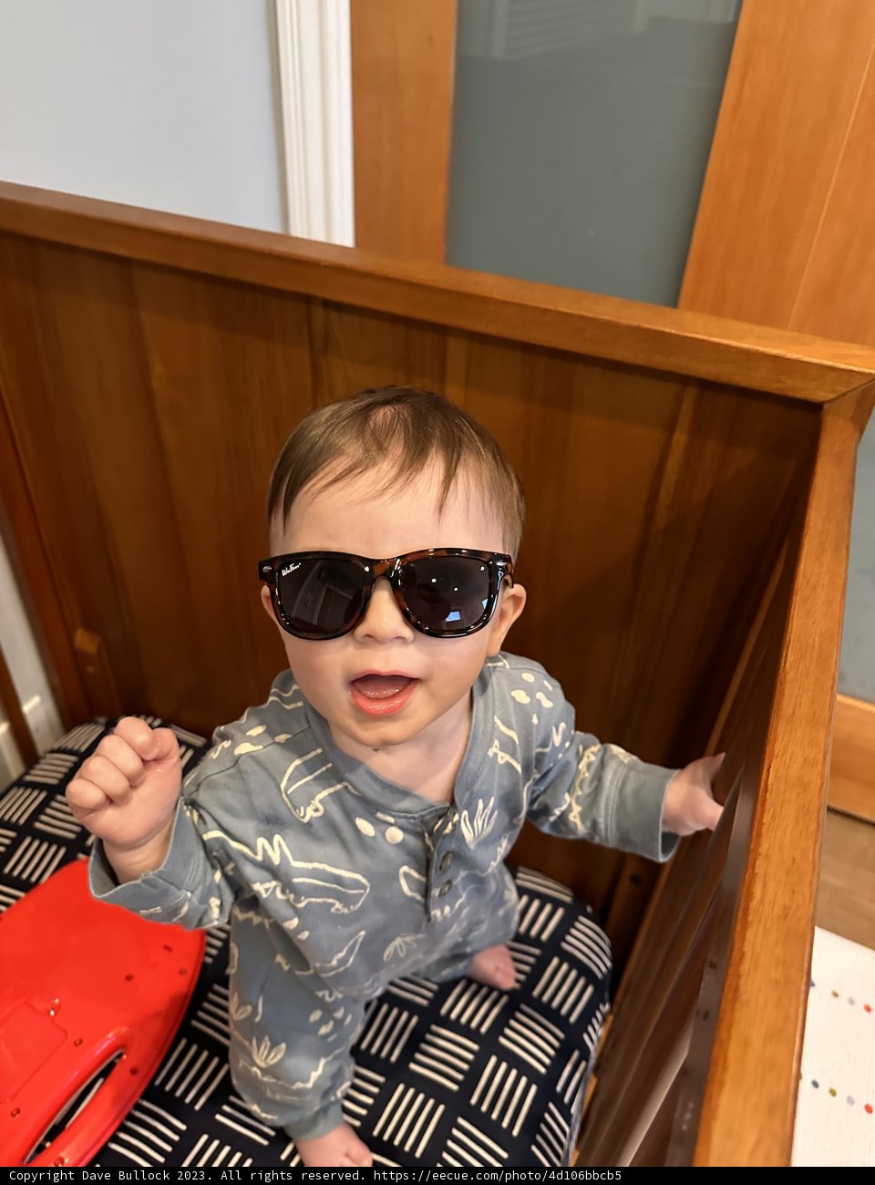 Cool Baby in Shades
