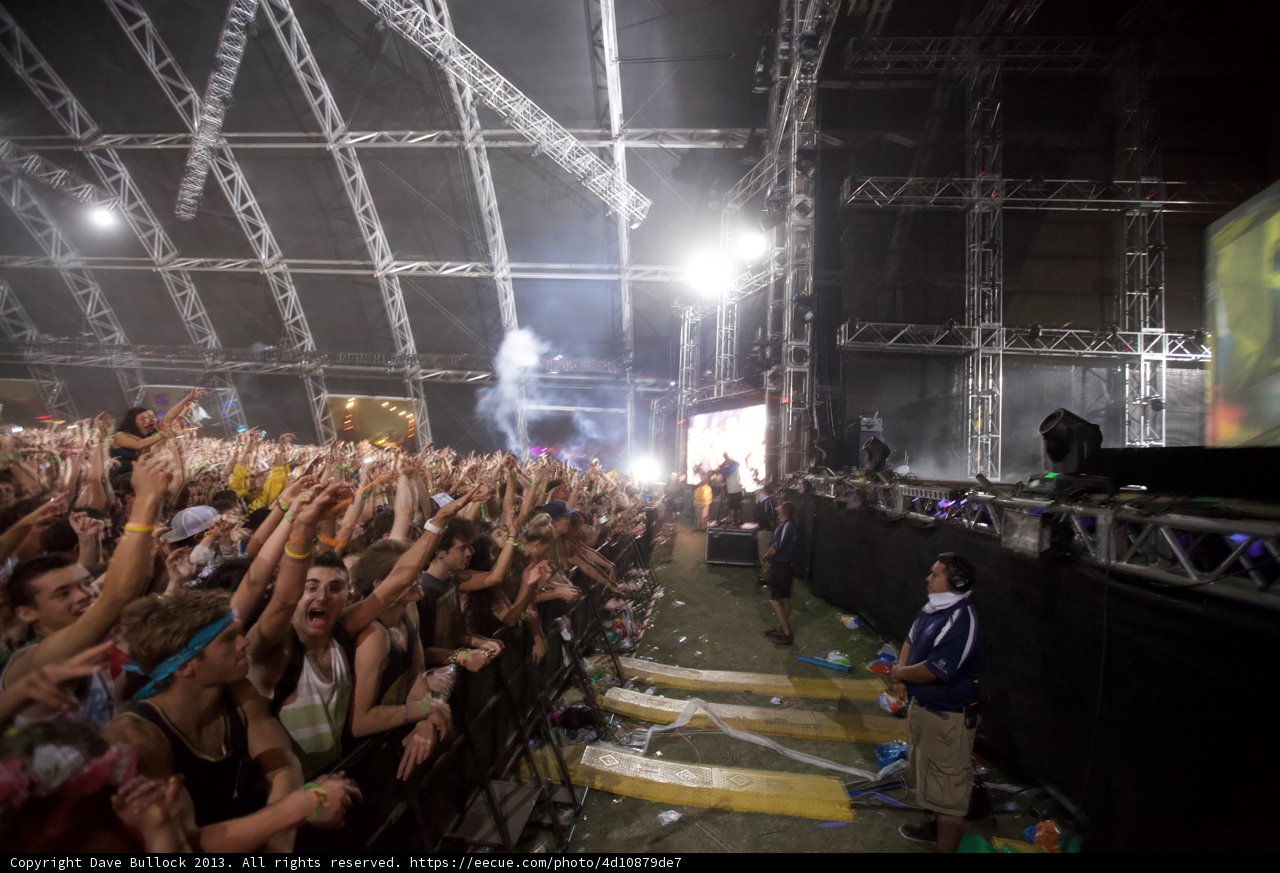 Electric Crowd at Coachella