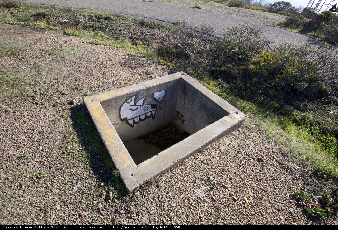 Urban Canvas: Graffiti on Concrete Amidst Nature