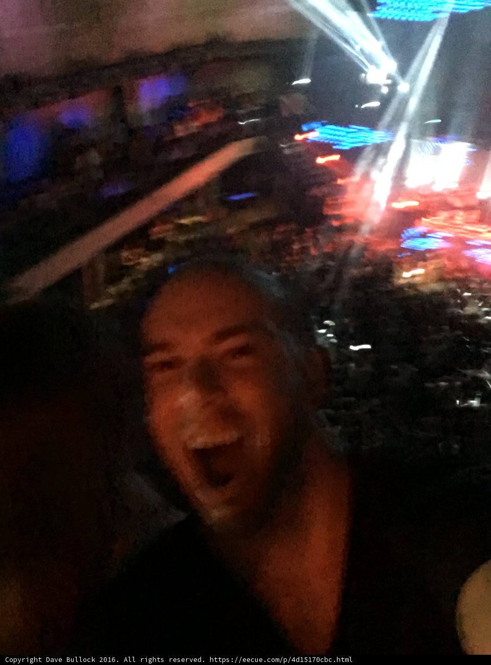 Selfie at the Concert