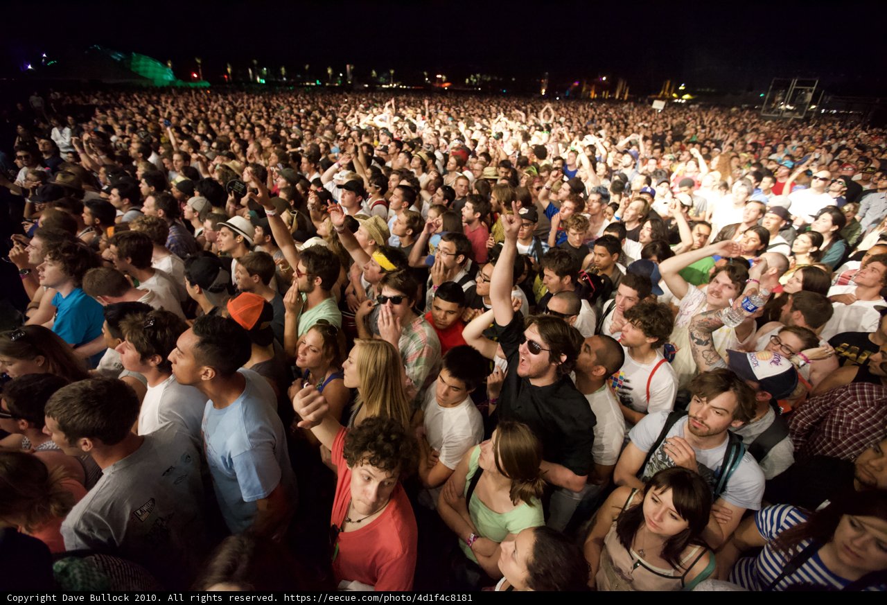 The Electric Crowd at Coachella