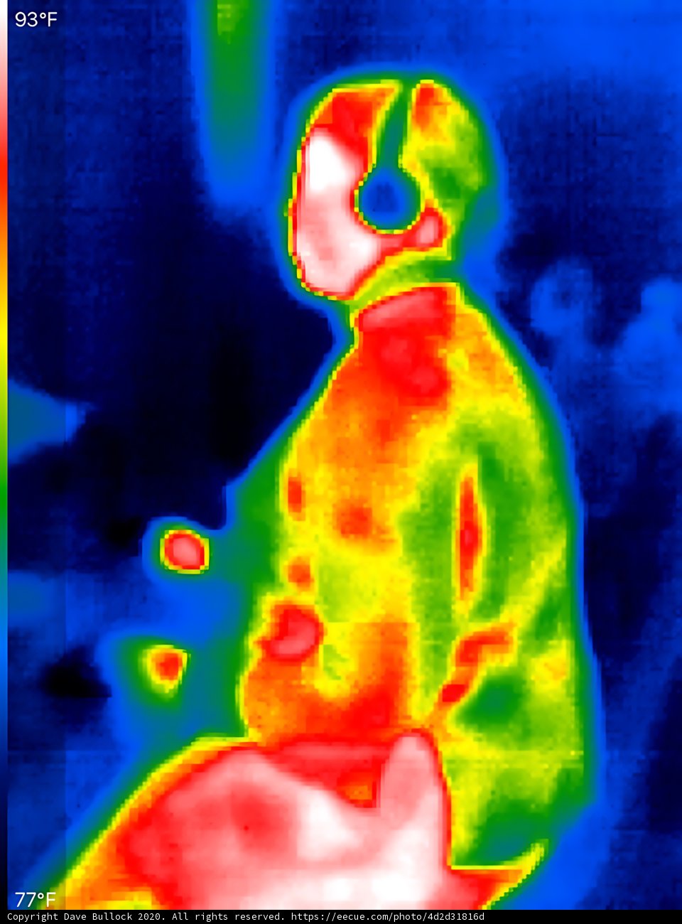 Thermal Imaging of Person with Temperature Reading