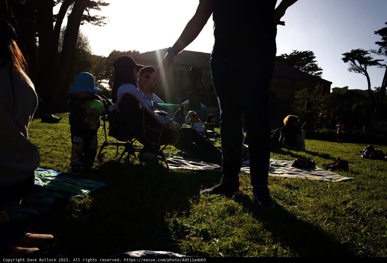Serene Sunset Picnic at SF Zoo