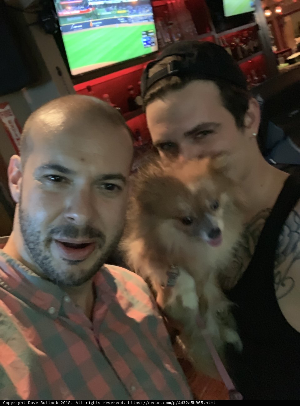 Bar Buddies