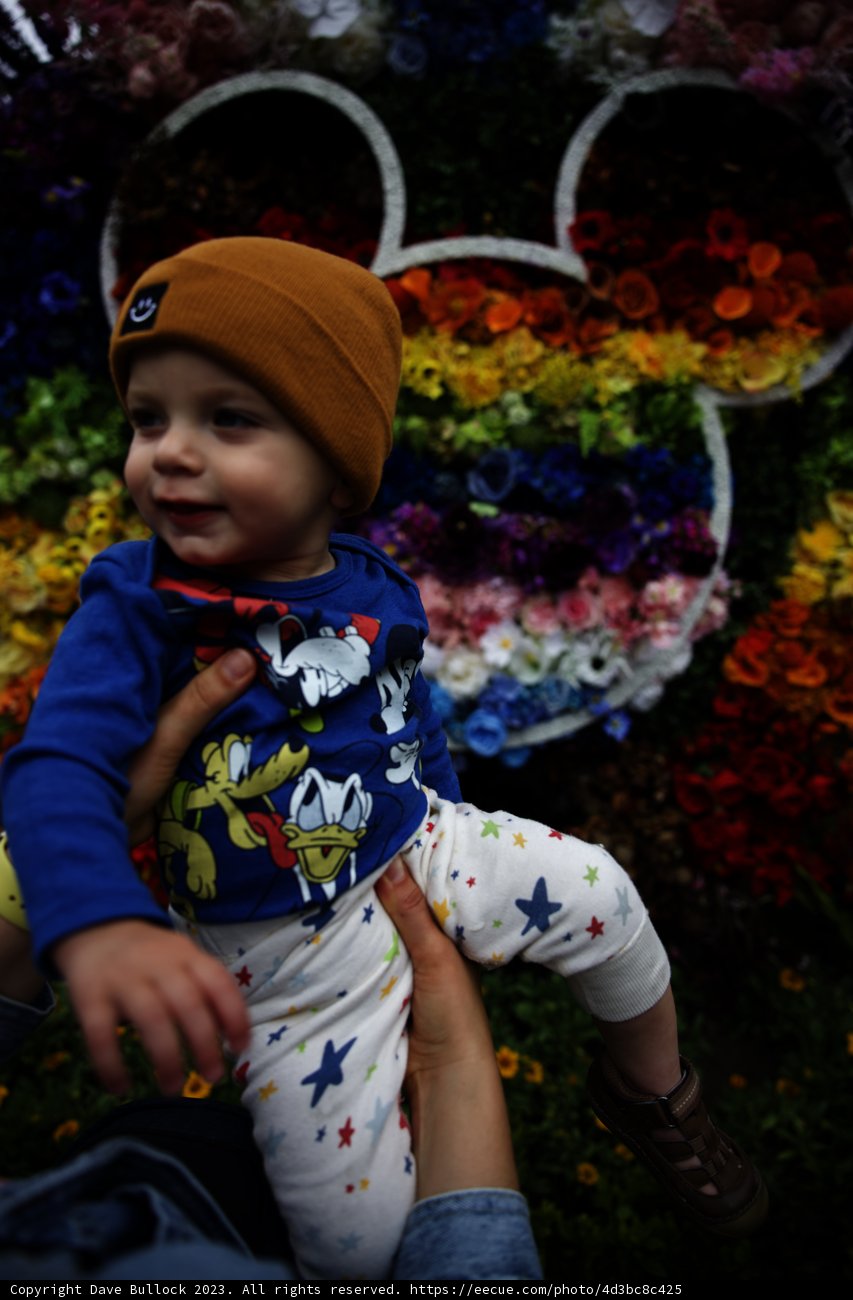 Blooming Bond at Disneyland
