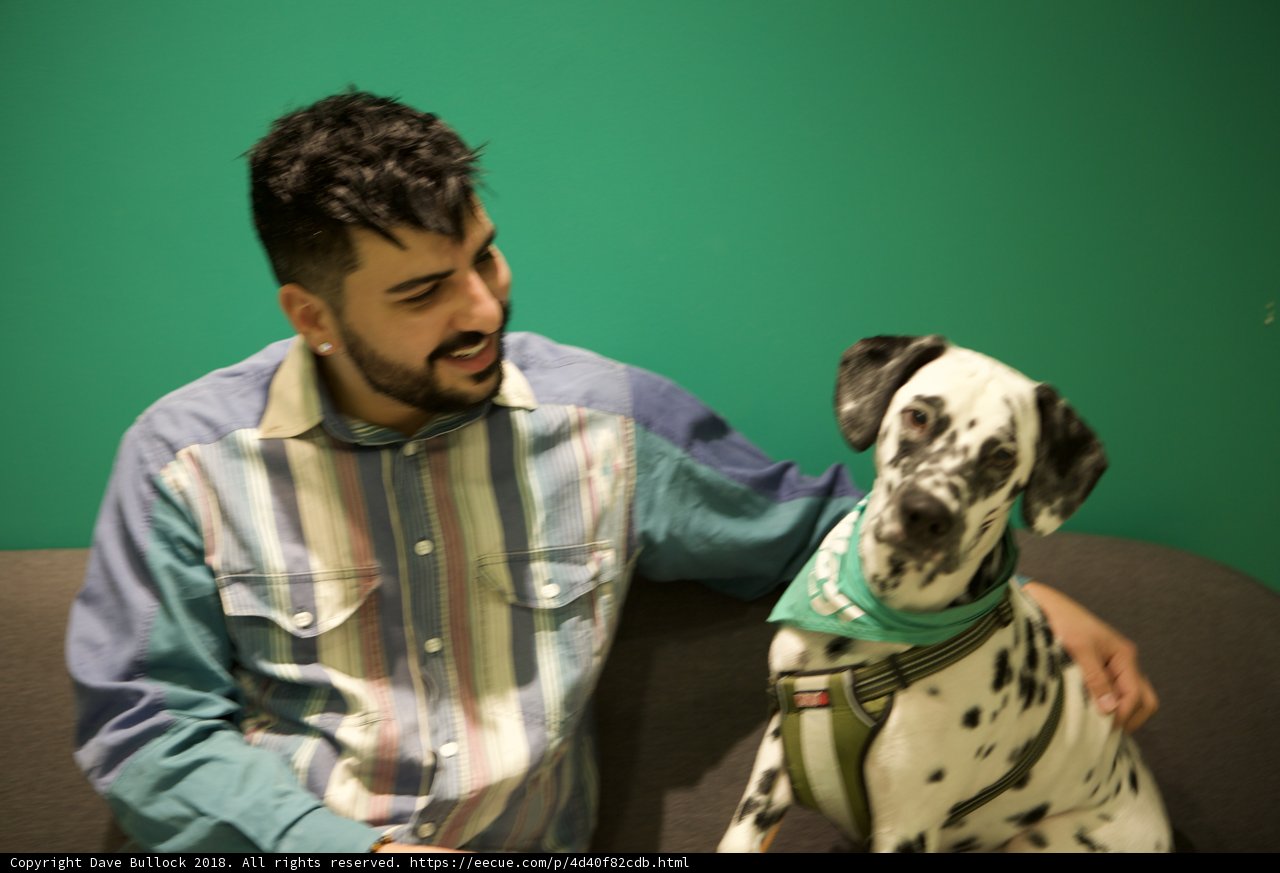 Man and his Dalmatian Companion